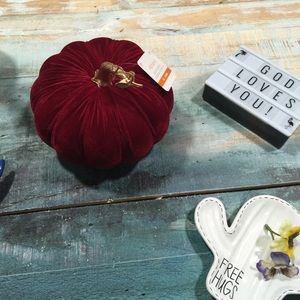 Decor Velvet Pumpkin